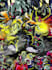 design album art, music artwork or album cover design