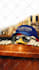 animate your avatar, mascot logo or picture and make it talk