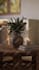 create realistic video 3d furniture assembly instruction