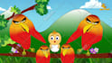create engaging 2d cartoon animation video