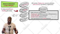 create 15minutes engaging whiteboard animation videos to captivate your audience