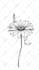 2d sketch style animations by pencils