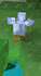 create a custom minecraft animation shorts for you