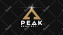 create a professional and custom logo animation