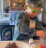 do quick youtube video editing for kids channel