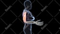 do 3d medical animation for a product or procedure