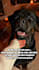 create hyper realistic ai videos with google veo 3