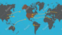 professional video editing and motion graphics