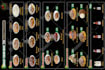 design digital animated or static menu restaurant tv display