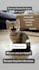 do an instagram shoutout on a verified 190k personal page