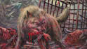make death metal, black metal, thrash metal lyrics video