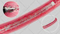 do high quality 3d medical animation and product modeling