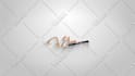 create professional logo animation intro with motion graphics reveal
