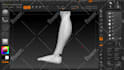 make a printable 3d model from reference photo