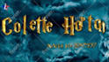 make you professional harry potter intro
