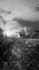 design 3d album cover art, 3d animation loop