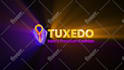 create a stunning 2d 3d animated logo intro video