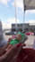 upscale denoise enhance sharpen remaster in 4k in 4 hours with topaz video ai
