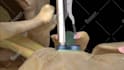 create 3d medical animation with high quality rendering