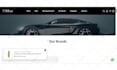 design and develop clean and modern business website
