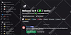 setup new discord and existing discord server setup within 12 hours