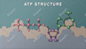 create stop motion animation video