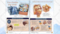 make HD videos from powerpoint slides, images and pdf files