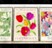 create wall art mockup video for your print on demand