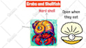 create dynamically engaging whiteboard animation explainer video