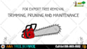 create a tree removal video or tree trimming video