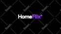 create custom logo animation and intro video