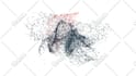 morph your old logo into new one