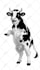 create hand drawn rotoscope animation for music videos or social media