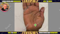 give a palm reading on video in 24h
