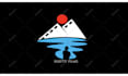 create a professional custom logo animation or intro