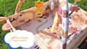 do professional video editing and motion graphics