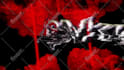 design custom 4k vj loops and trippy visuals 10 scene