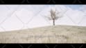 bring your lyrics to life with stunning music videos