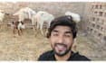 wish happy birthday and sing song with my goats