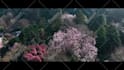 edit your drone and travel videos cinematically