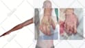 do custom 3d product, science and medical animation