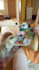create a dog ugc video
