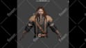 design quality male or female 2d vtuber model 3d vtuber rigging live2d vtube
