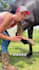 create authentic ugc videos for equestrian and horse products