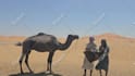 deliver funny happy birthday video with camel