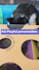 edit your youtube and social media video professionally