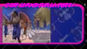 create your original twitch overlays