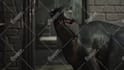 sound design, sound effects for game, video, animation, film