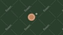 create professional custom logo animation