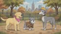 do 2d cartoon animation video and character animation